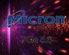 Micron est le premier à promouvoir l'adoption de la norme PCIe 6.0 (Image Source : Micron)