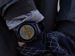 Garmin a publié la version bêta 13.60 pour la Forerunner 945 (ci-dessus) et d&#039;autres smartwatches. (Source de l&#039;image : Garmin)