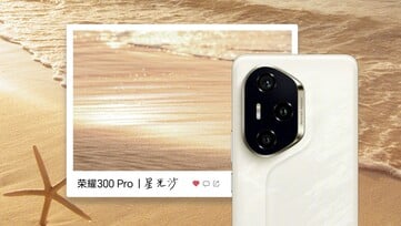 Le Honor 300 Pro. (Source de l'image : Honor)