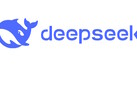 Deepseek ouvre l'accès gratuit au chatbot Deepseek V3 AI LLM à tous. (Source de l'image : Deepseek)