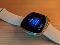 Les Fitbit Sense et Versa 3 peuvent surchauffer (Source : Inge Schwabe)