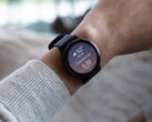 Garmin teste la nouvelle fonctionnalité de l'assistant vocal sur les Vivoactive 5 et Venu 3 avec la dernière mise à jour bêta. (Source de l'image : Garmin)