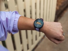 La Garmin Forerunner 165 recevra bientôt une nouvelle mise à jour bêta. (Source de l&#039;image : Garmin)