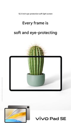 (Source de l'image : Vivo)