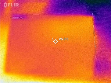 Carte thermique du dos