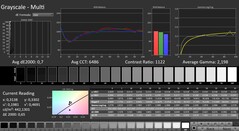 CalMAN : niveaux de gris (calibrés)