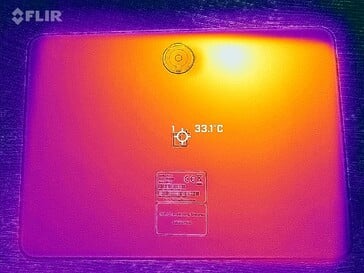 Carte thermique du dos