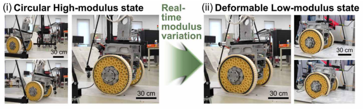 Images montrant la transition entre (i) l'état circulaire à module élevé et (ii) l'état déformable à module faible de la roue. (Source de l'image : KIMM)