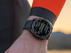 Certaines smartwatches Garmin Fenix 8 présenteraient des problèmes liés à l&#039;eau froide. (Source : Garmin)