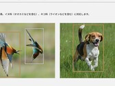 Ces deux photos, parmi d'autres sur la page produit du Lumix S9, ont déclenché la controverse (Source de l'image : Panasonic)