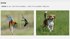 Ces deux photos, parmi d&#039;autres sur la page produit du Lumix S9, ont déclenché la controverse (Source de l&#039;image : Panasonic)