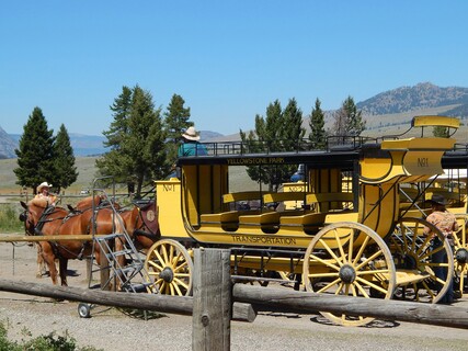 Bien qu'il s'agisse encore d'un nouveau mode de transport, les voitures tirées par des chevaux étaient monnaie courante dans les années 1800. (Source de l'image : Maddy Weiss sur Unsplash)