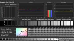 CalMAN : niveaux de gris (calibrés)