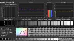 CalMAN : Niveaux de gris (calibrés)