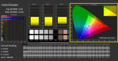 CalMAN - Color Checker (calibré)