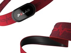 Polar semble travailler sur un nouveau bracelet portable similaire au H10 (ci-dessus). (Source de l&#039;image : Polar)