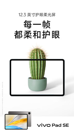 (Source de l'image : Vivo)