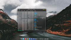 Bureau de Br OS avec une fenêtre de terminal (Image source : Br OS)