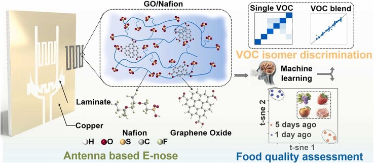 Résumé graphique du capteur à antenne unique recouvert d'oxyde de graphène. (Source de l'image : ScienceDirect)