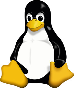 Le noyau Linux 6.11 arrive, et il apporte la prise en charge de nouveaux matériels. (Image : Wikimedia Commons)