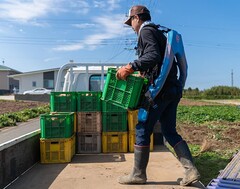 Innophys étend la vente des exosquelettes Muscle Suit à la Roumanie. (Source de l&#039;image : Innophys)