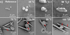 Fragments de plastique dans l&#039;eau (Source de l&#039;image : Environmental Science &amp;amp; Technology Letters via ScienceAlert)