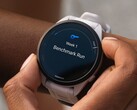 Plusieurs smartwatches Garmin Forerunner reçoivent la mise à jour bêta 21.18. (Source : Garmin)